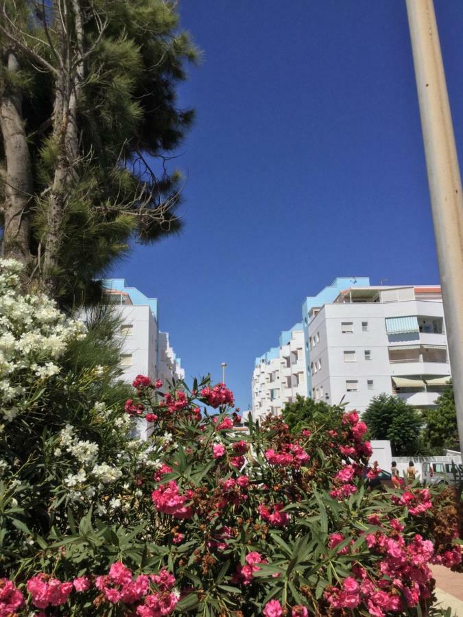 La Perla Azul Playa - Terraza Al Sol Apartment Roquetas de Mar Exterior photo